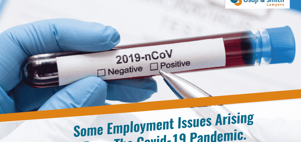 Some Employment Issues Arising From The COVID-19 Pandemic