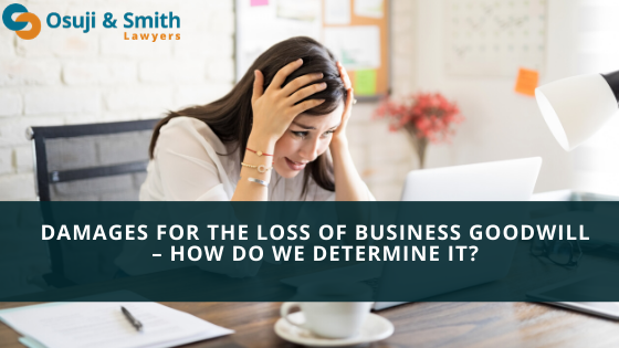 Damages for the Loss of Business Goodwill – How do we determine it?